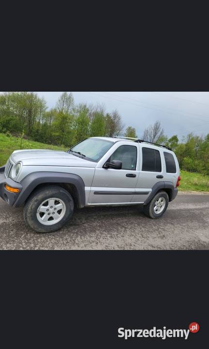 Jeep Liberty nieuszkodzony