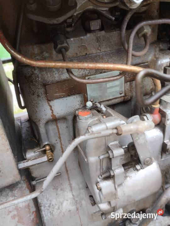 ZUrsus C330 m Ostrowiec Świętokrzyski