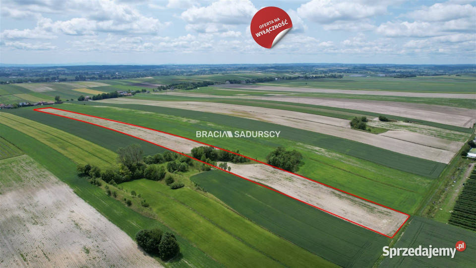 Działka 30500m2 PrandocinIły Prandocin-Iły