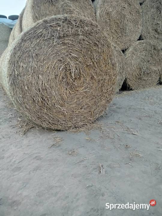 Sprzedam słome Dąbkowice