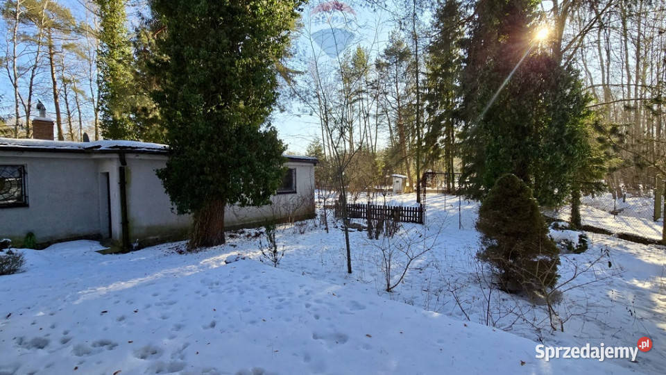 Działka zabudowana Zalesie Górne Kwiat Paproci mazowieckie