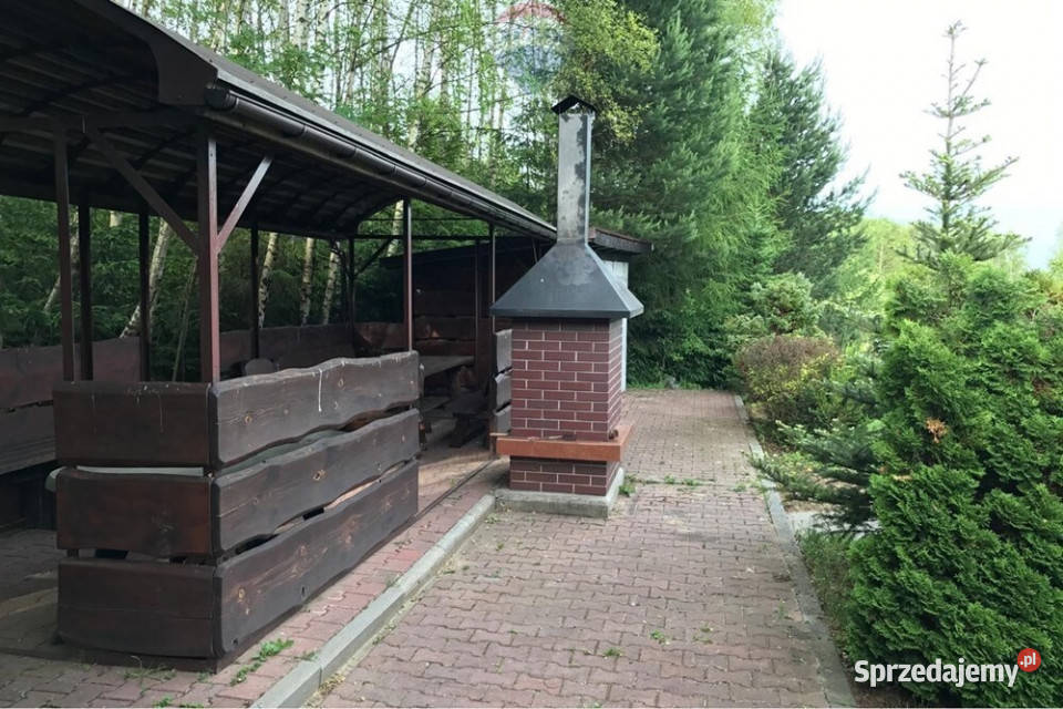 Dom słoneczny azyl z lasem i widokami Sprzedaż Las