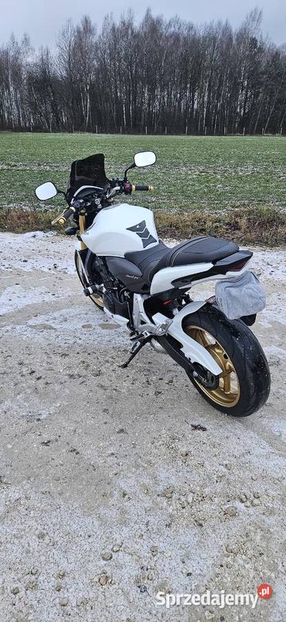 Honda Hornet Bogoria