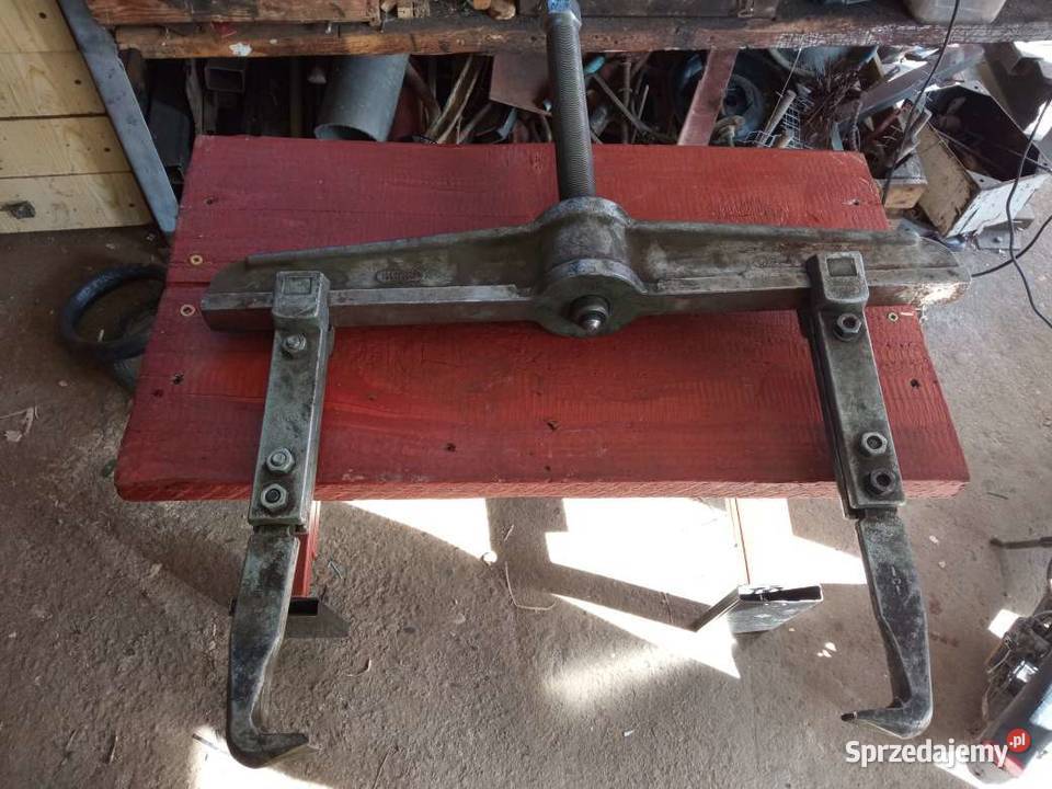 sciagacz małopolskie Przyszowa