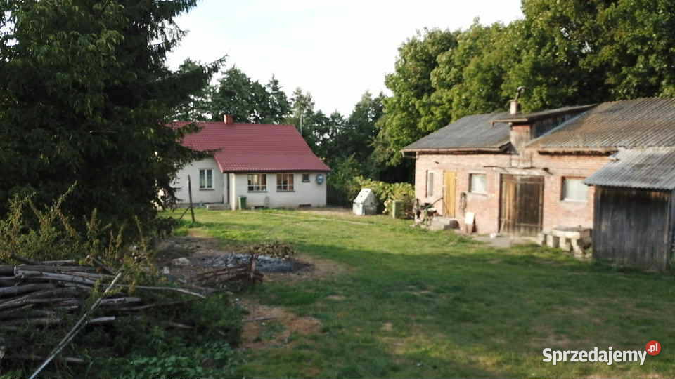 Sprzedam siedlisko 63 ary szczuczki gm sprzedam