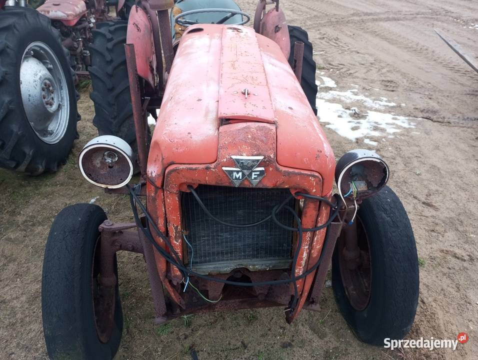 Ciągnik Massey Ferguson 35 Buk