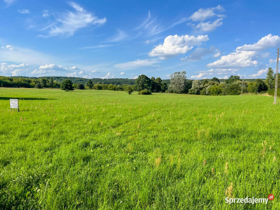 Działka budowalna z WZ 105ha Michałów Starachowice sprzedam