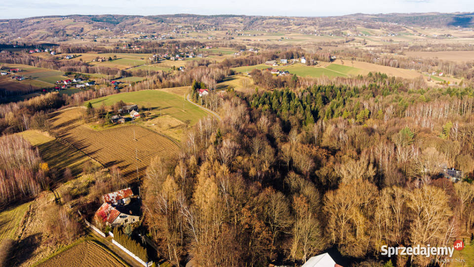Działka budowlana 623 ar Tuchów A7