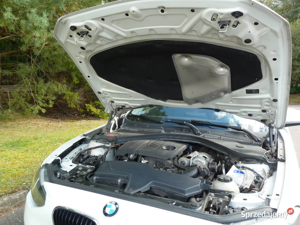 BMW Seria 1 F21 114i BENZYNA 102 biały Seria 1 Słupsk sprzedam
