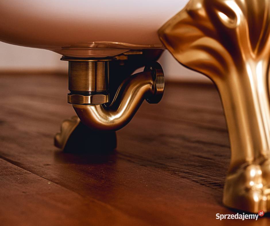 Ludwik Retro 170 wanna wolnostojąca z lwimi wielkopolskie Poznań