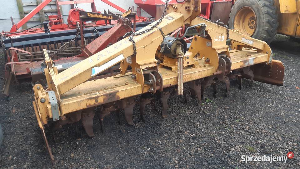 Brona wirowa maschio kuhn wielkopolskie Nowe Skalmierzyce