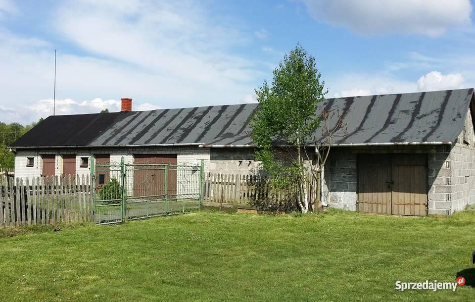 dom Żółwin kPodkowy Leśnej Żółwin