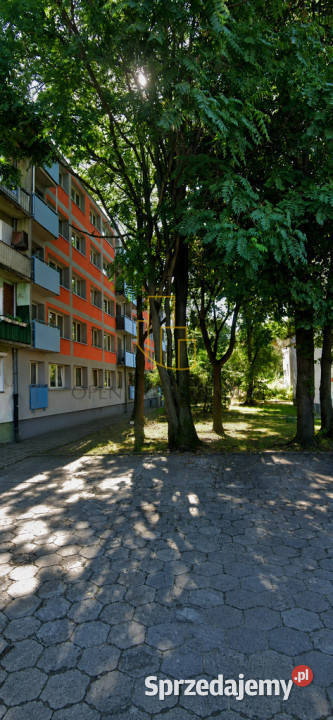 centrum Wrocławia 3 pok balkon pod wynajem