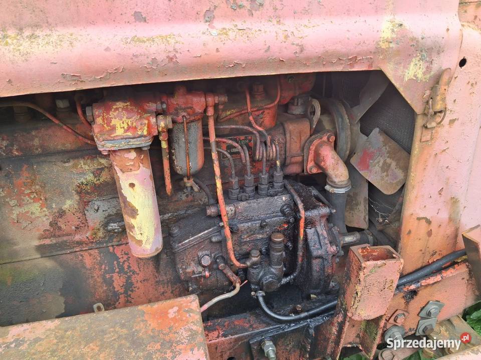 MTZ JUMZ Skrzynia biegów Manualna Pastewnik