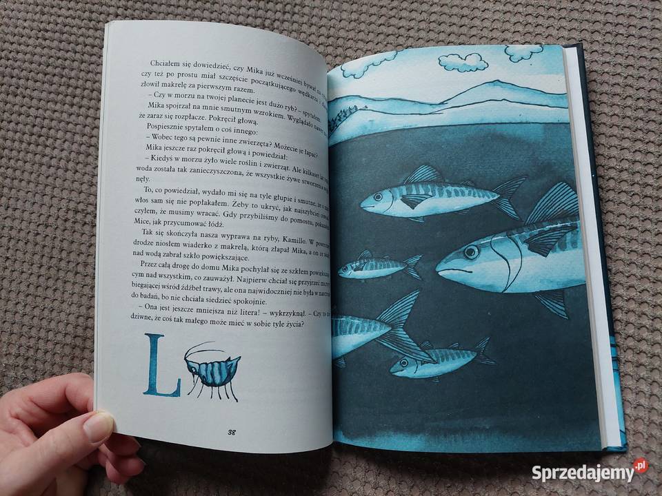 nowa Hej czy jest tu kto Jostein Gaarder Rok wydania 2007 Kraków