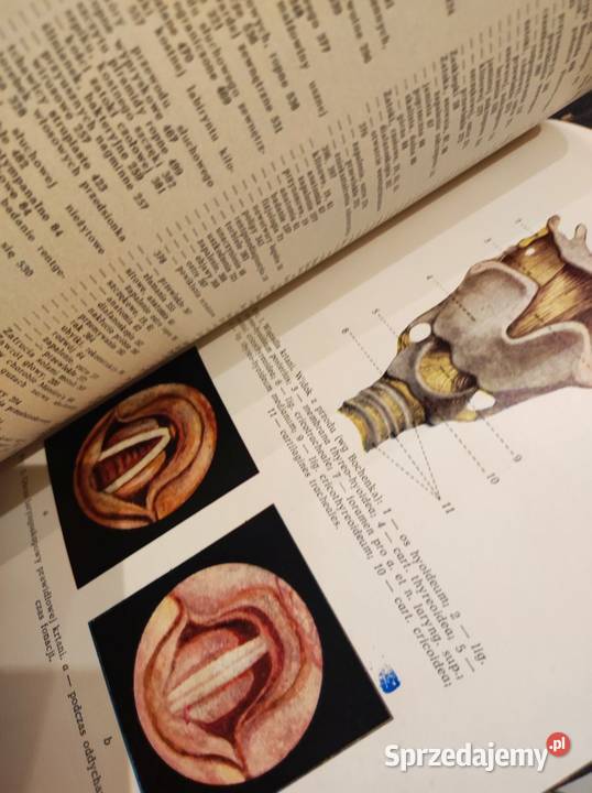 Podręcznik otorynolaryngologii Jan Szymański Kielce