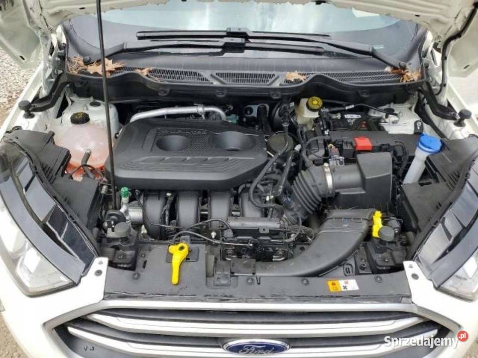 Ford Ecosport 2019 20 benzyna 77 950 kujawsko-pomorskie Włocławek