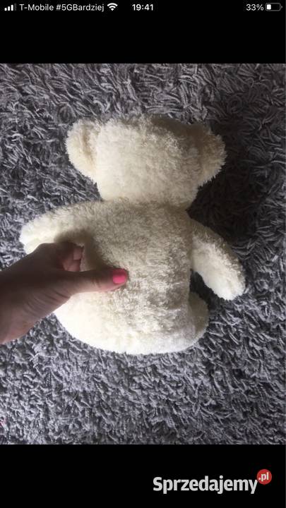 Pluszowy miś biały Kłodawa