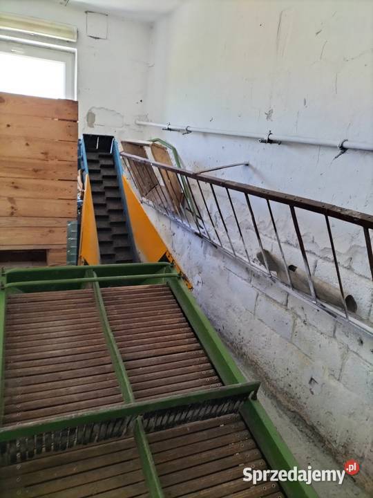 Sortownik ziemniaków AMAZONE BK3 Jędrzejów sprzedam