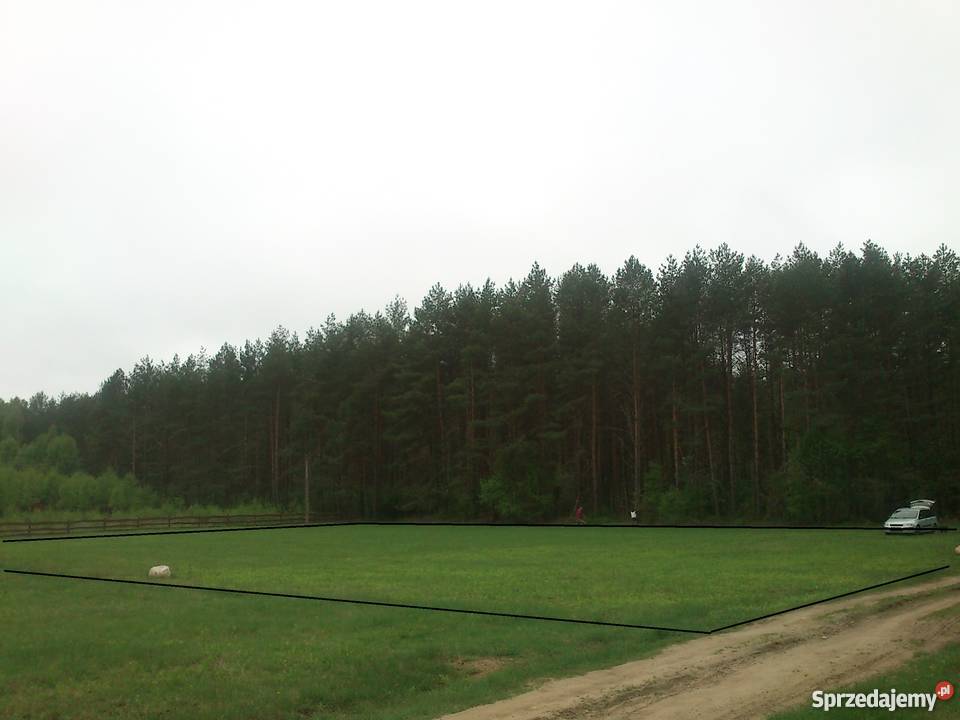 Duża działka Miętkie niedaleko Mrągowa - ponad 3 tys. m2