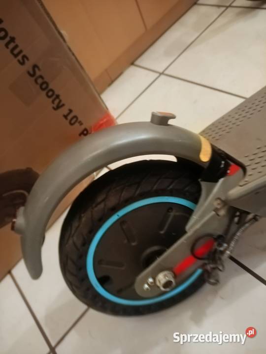 Hulajnoga Motus Scooty 10 Plus 2023 Kraków