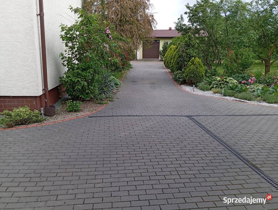 Na wynajem Wylęgarnia Drobiu pisklęta gęsi parter wielkopolskie