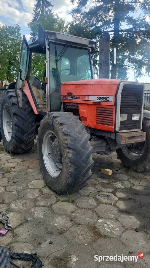 Massey Ferguson 3650 Radzyń Podlaski