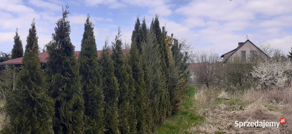 Dom jeziorem Lipiany