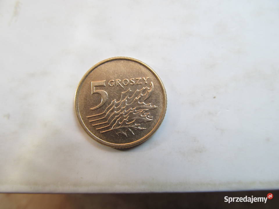 5gr 1990r Numizmatyka lubelskie Lublin