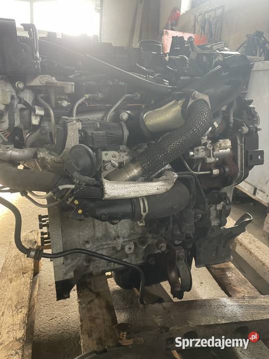 VOLVO V40 V60 S60 S40 16 D2 D4162T 1116R silnik osobowe mazowieckie Sierpc