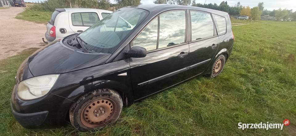 Sprzedam Renault grand scenic wielkopolskie Szamotuły