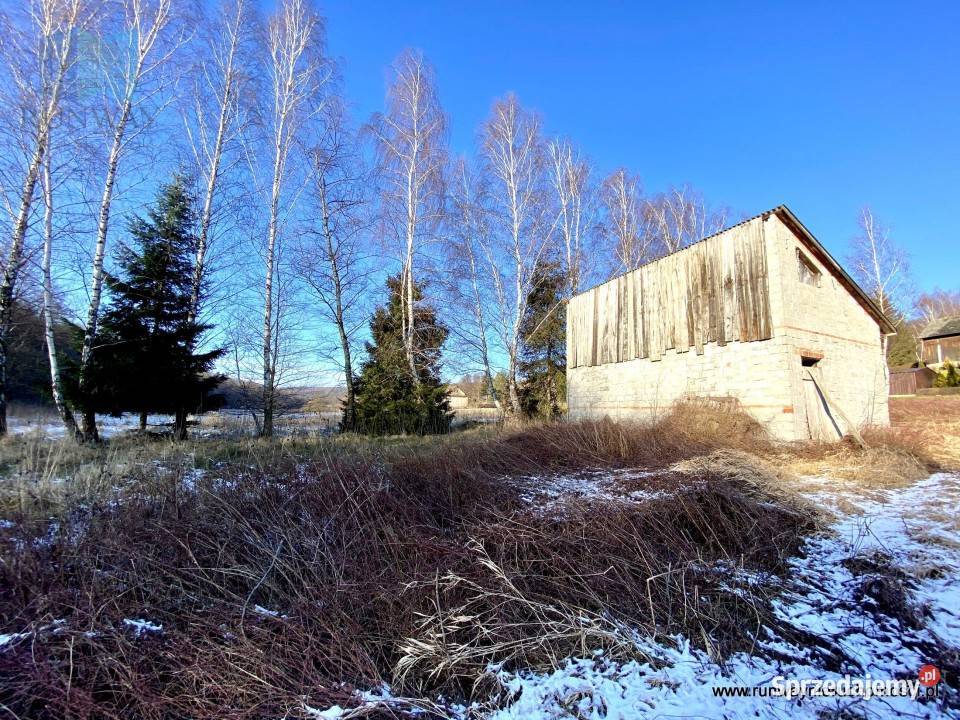 Dom 45m2 Okonin Liczba pokoi 1