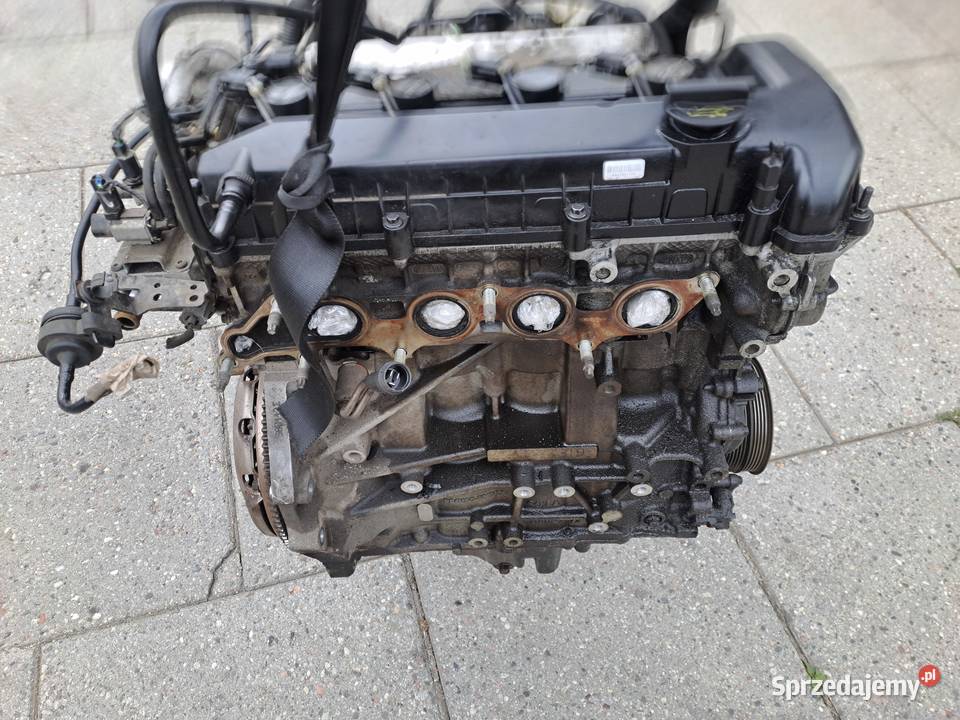 Ford Fokus 18 16V 125 silnik kompletny kod Q7DA osobowe