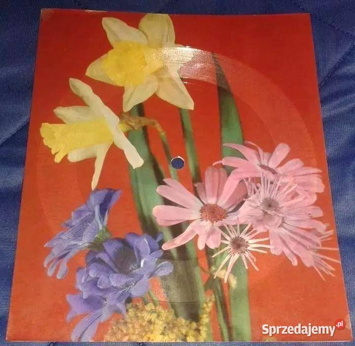 Pocztówka dźwiękowa Devit gate driever Chełm