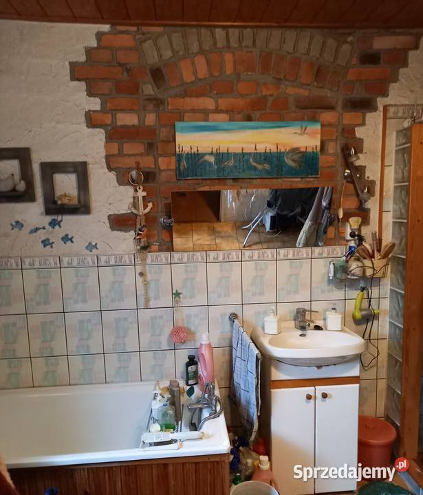 Dom wiejski bez sąsiadów lubuskie ok Janiszowic