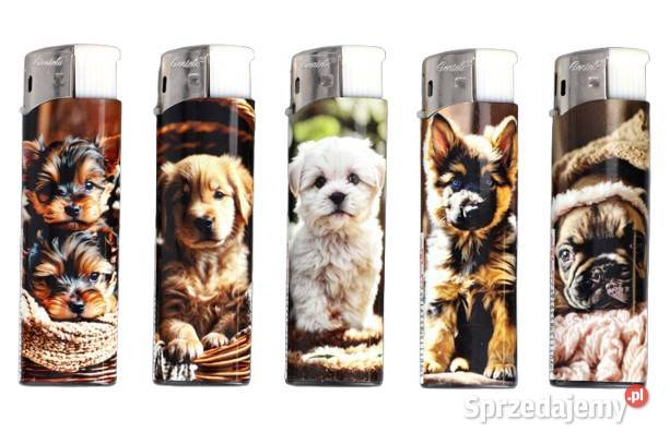 Zestaw 5 sztuk Klasycznych Zwykłych Zapalniczek Pozostałe śląskie Ostrowy nad Okszą