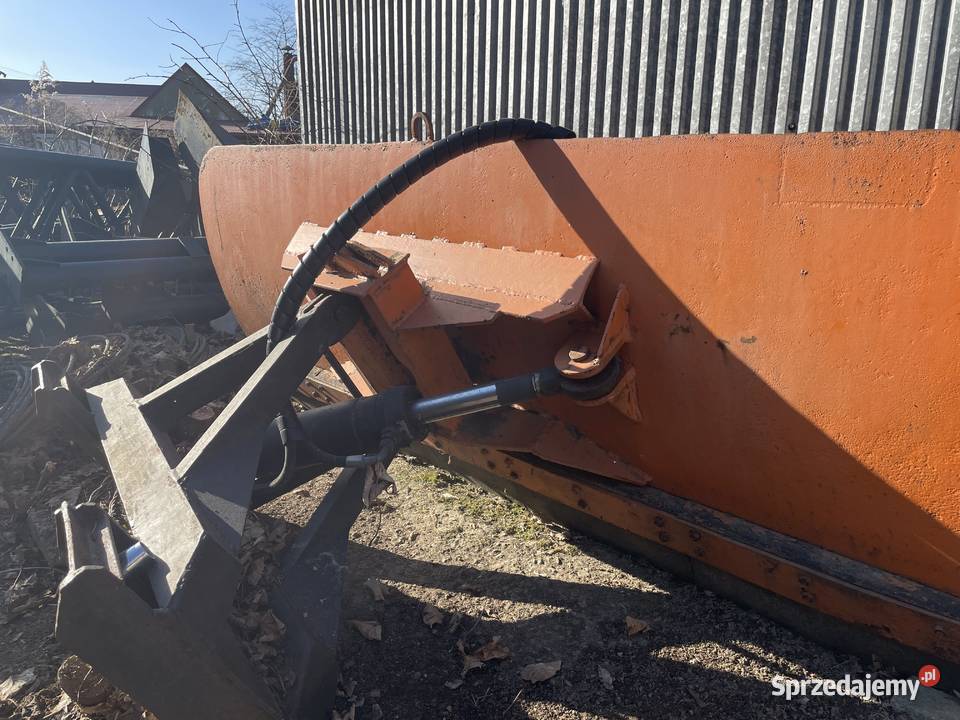 Cat małopolskie Naprawa