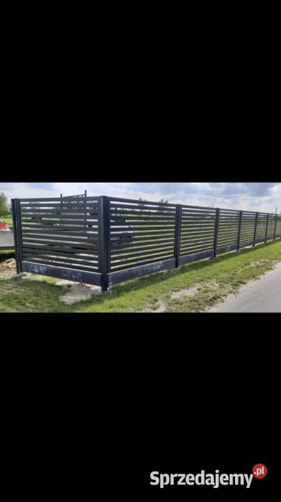 Ogrodzenia Palisadowe Panelowe Ocynk Ral 3D2D ocynk Szczawin Kościelny