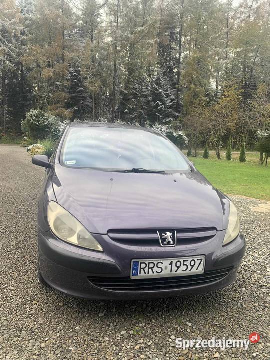 Peugeot 307 16 benzyna