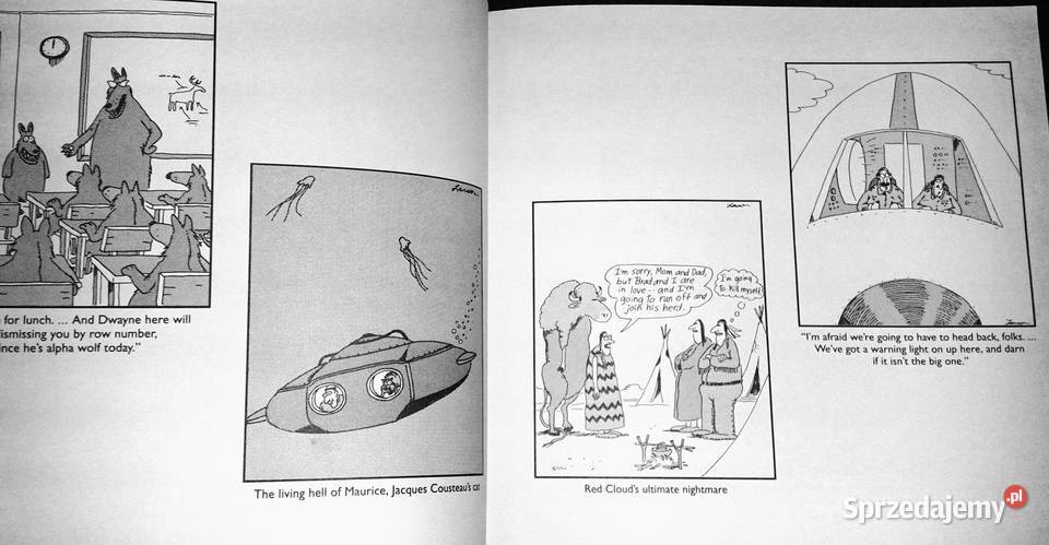 The chickens are restless Gary Larson Pozostałe Chełm sprzedam