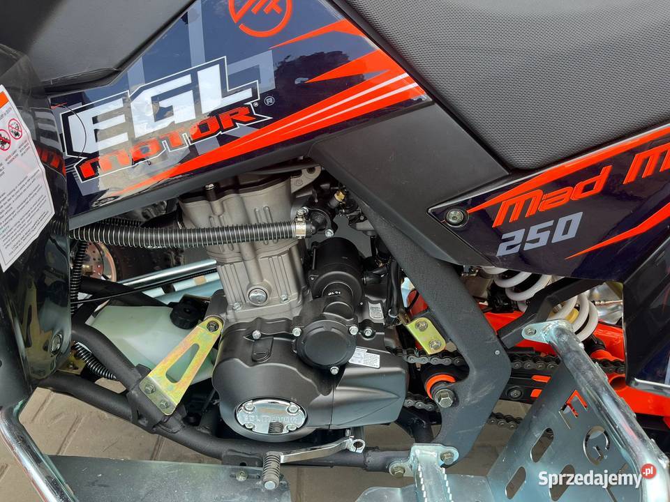 QUAD 250 CC BERRETA EGL MAD 250 CHŁODZONY CIECZĄ quad - ATV Pozostałe Karkosy sprzedam