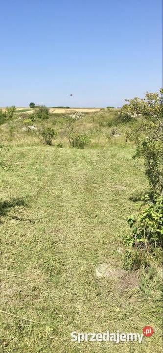 działka rolna Solec Zdrój Solec-Zdrój