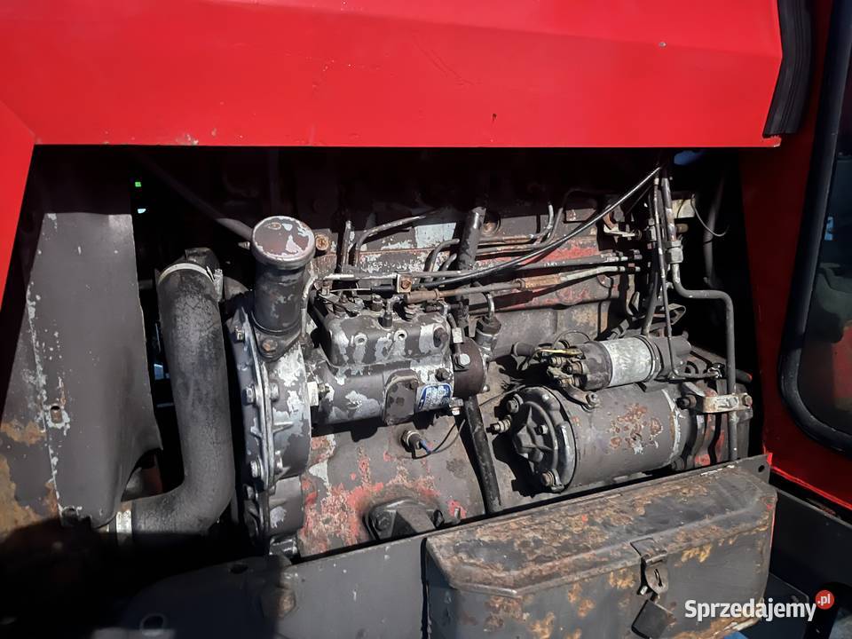 Massey Ferguson 565 1985 stanie Czermno