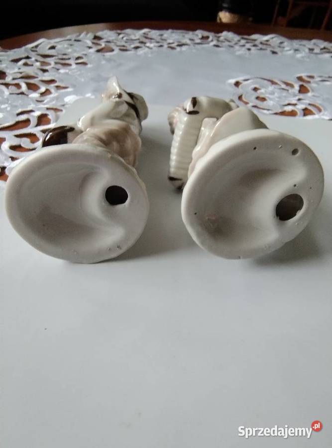 Muzykalna para Żory sprzedam