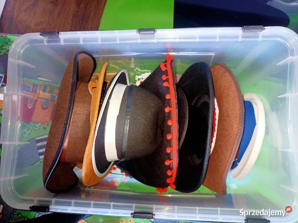 Fotobudka z pełnym wyposażeniem Pozostałe wielkopolskie Włoszakowice