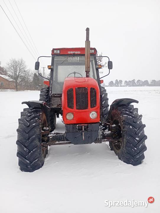 Ursus 1224 Zetor 12045 16 lat w jednych rękach lubelskie Piaski