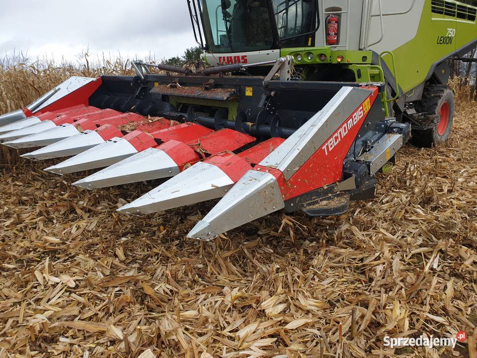 Przystawka do kukurydzy TECNOMAIS 5 rzędowa Gołaczewy