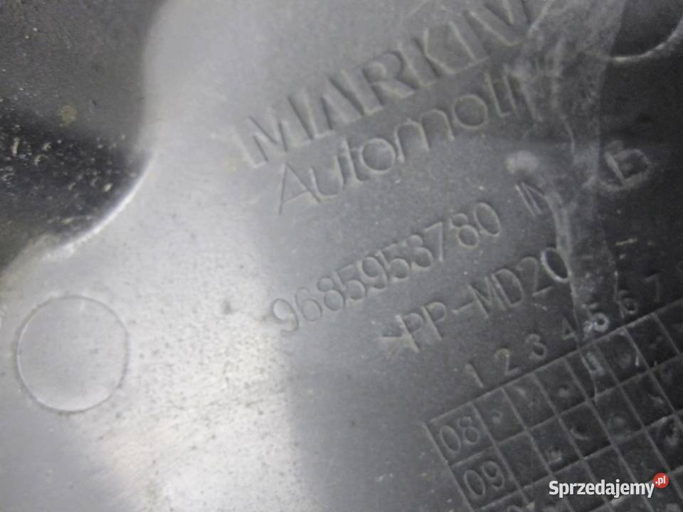 CITROEN C4 II B7 dolot łapacz powietrza osobowe