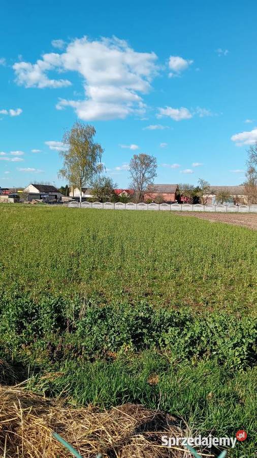 Sprzedam działkę Trzebiechów