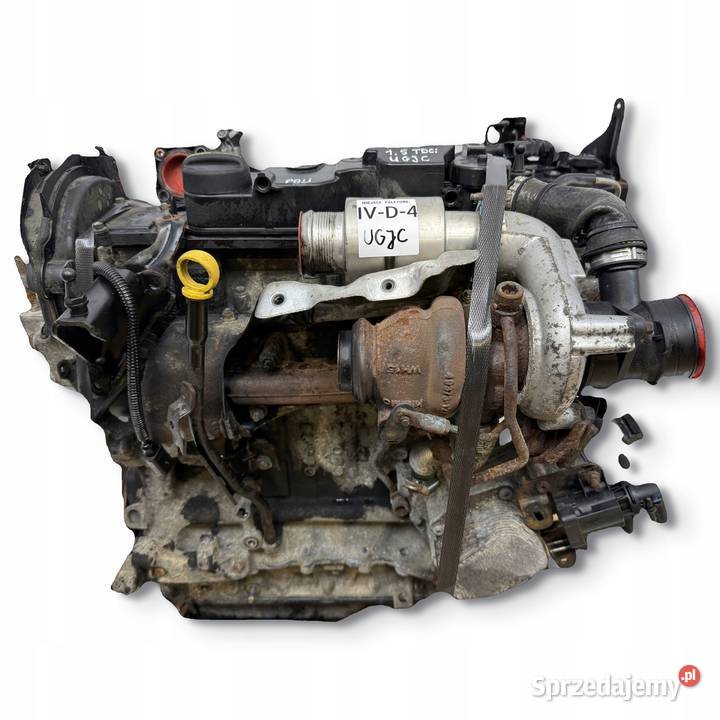 SILNIK UGJC Ford Fiesta VII MK7 B B 15 TDCI 75 Chełm